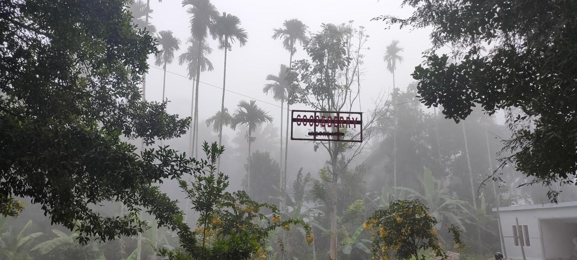 Gooseberry Family Retreats - Wayanad By Karapuzha Resorts Meenangadi Buitenkant foto